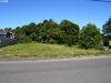 1020 Elmira Ave SE photo